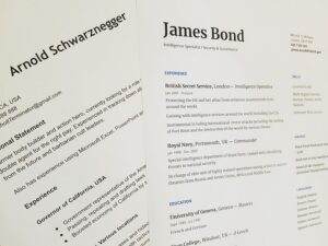 Unleash Your Professional Potential with Premium Resume Making Services by Wellington Resume