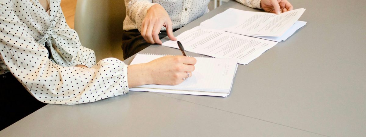 curriculum vitae writer